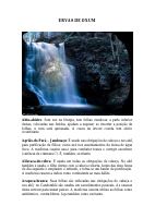 ERVAS DE OXUM.pdf